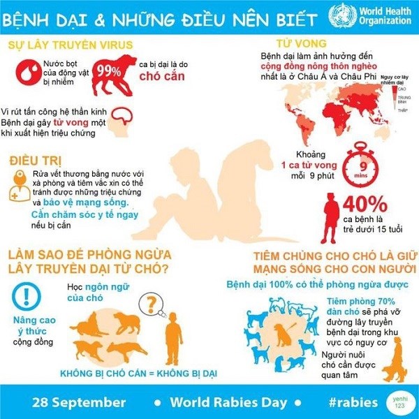 Nghệ An: Liên tiếp hai trẻ em tử vong sau khi bị chó dại cắn - ảnh 2