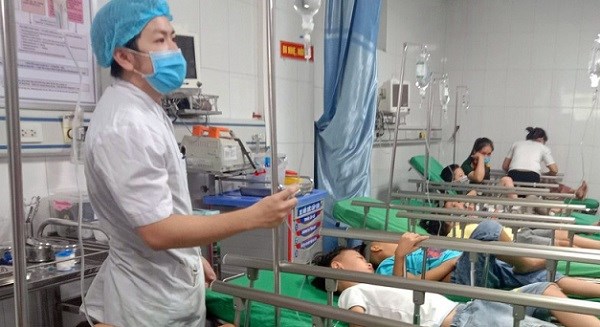 Bị ong đốt, 16 học sinh tiểu học phải nhập viện cấp cứu - ảnh 1
