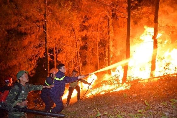 Rừng thông cháy đỏ trời, Nghệ An, Hà Tĩnh cùng dập lửa di tản dân trong đêm - ảnh 1