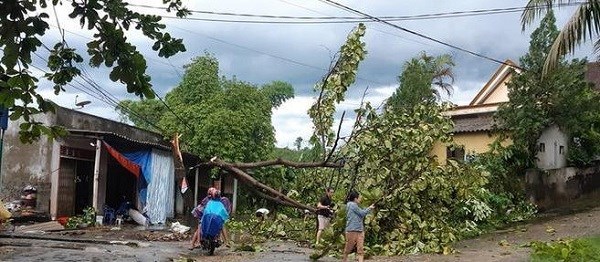 Nghệ An: Giông lốc làm tốc mái hàng chục ngôi nhà, nhiều diện tích lúa, rau màu hư hại - ảnh 1