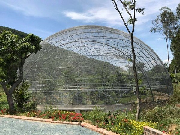 Nghệ An: Khu sinh thái xây dựng không phép vẫn hoạt động đón khách du lịch - ảnh 3