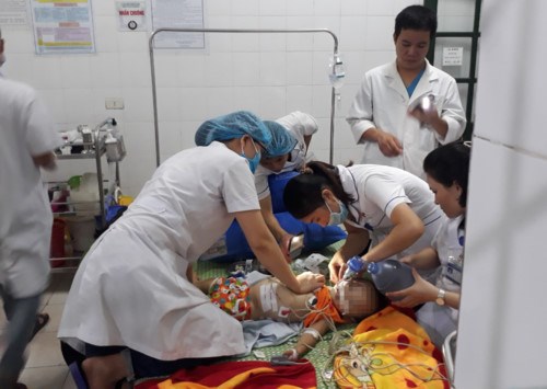 Nghệ An: Bé gái gần 2 tuổi bị chó béc giê cắn tử vong - ảnh 1