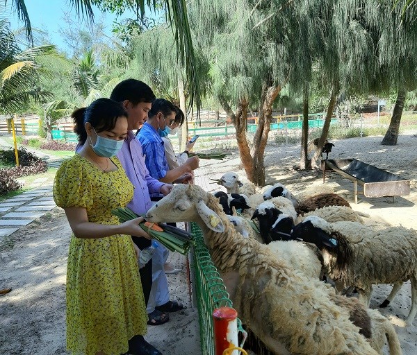 Bình Định lên kịch bản đón khách du lịch dịp cuối năm - ảnh 1