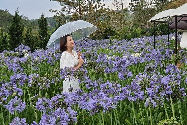 Lâm Đồng đẩy mạnh các giải pháp kích cầu du lịch - ảnh 1