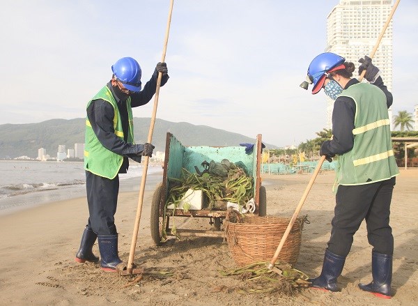Những người thầm lặng làm đẹp  môi trường du lịch biển Quy Nhơn - ảnh 1