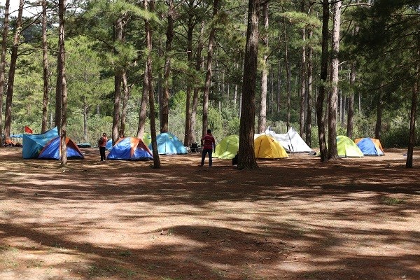 Lâm Đồng: Đón hơn 300 nghìn lượt khách trong dịp Tết Nguyên đán - ảnh 3