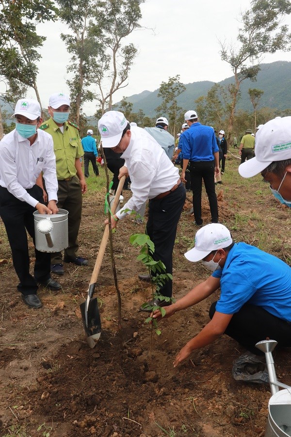 Khánh Hòa:  Phát động "Tết trồng cây đời đời nhớ ơn Bác Hồ" - ảnh 2