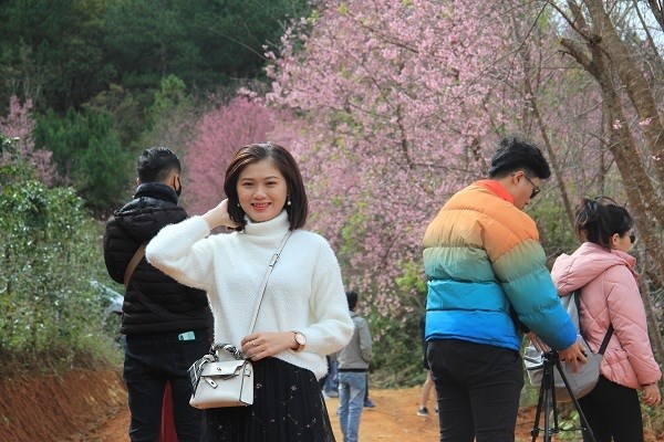 Lâm Đồng: Du khách đổ xô săn lùng thung lũng Mai Anh đào tuyệt đẹp - ảnh 6