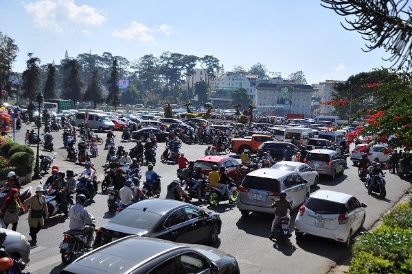 Đà Lạt: Đón hơn 260.000 lượt du khách dịp Tết - ảnh 3