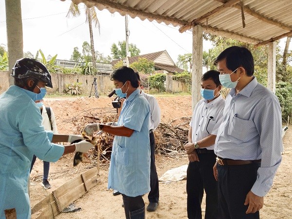 Bình Định chủ động phòng, chống dịch cúm  A/H5N1 trên gia cầm - ảnh 1