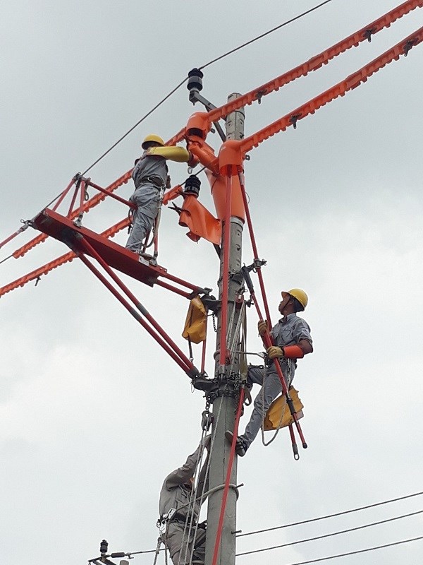 PC Khánh Hòa: Áp dụng giải pháp thi công, sửa chữa hotline 22kV bằng bệ đỡ cách điện Platform - ảnh 1