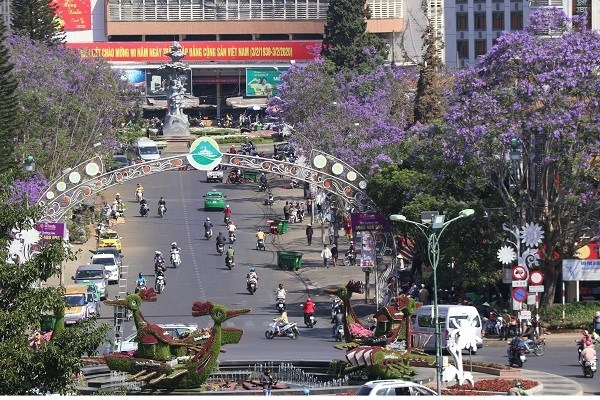Đà Lạt mơ màng trong sắc hoa Phượng tím - ảnh 1