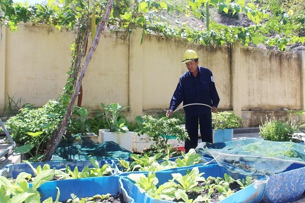 Thợ điện đảo Bích Đầm - ảnh 3