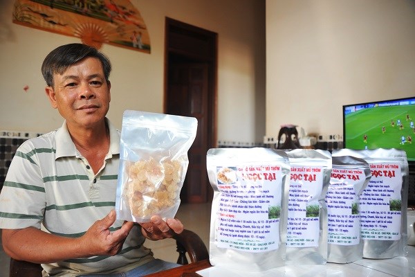 Huyện Chư Pưh (Gia Lai):  Nỗ lực chuyển đổi cây trồng, vật nuôi - ảnh 1