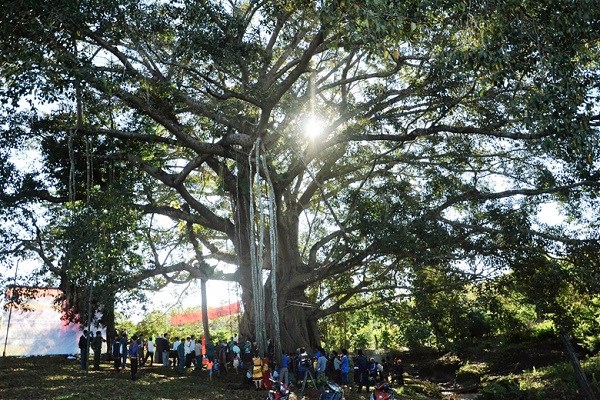 Gia Lai: Nỗ lực phát triển kinh tế, du lịch vùng biên Đức Cơ - ảnh 2