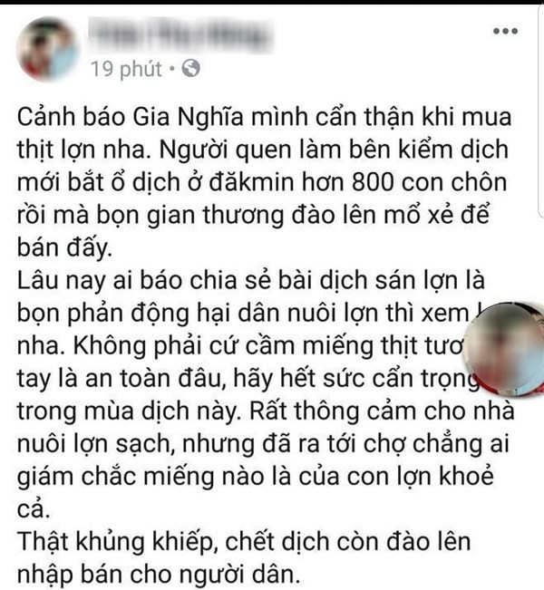 Đắk Nông: Điều tra thông tin thất thiệt về việc lợn bị dịch được chôn rồi đào lên bán - ảnh 1