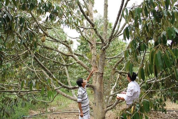 PC Khánh Hòa: Góp phần phát triển kinh tế đồng bào vùng cao Sơn Hiệp - ảnh 2