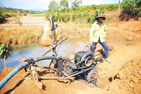 Gia Lai: Nông dân oằn mình "vắt nước" cứu cây cà phê - ảnh 2