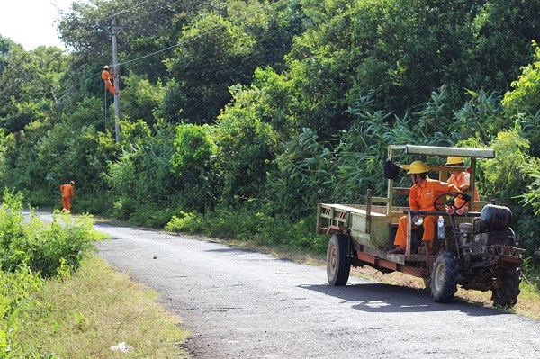 Gia Lai: Nỗ lực đưa điện về phát triển kinh tế vùng biên - ảnh 3