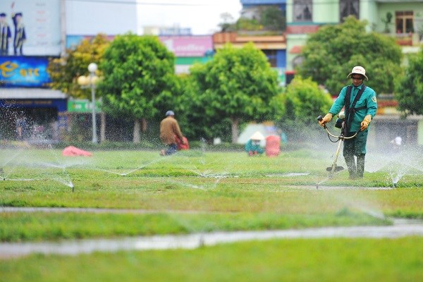 Gia Lai: Phố núi rực rỡ sắc hoa chào đón Xuân - ảnh 7