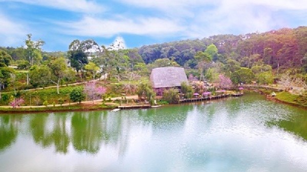 Đến Măng Đen, ngắm vẻ đẹp hút hồn của hoa Mai Anh đào - ảnh 2