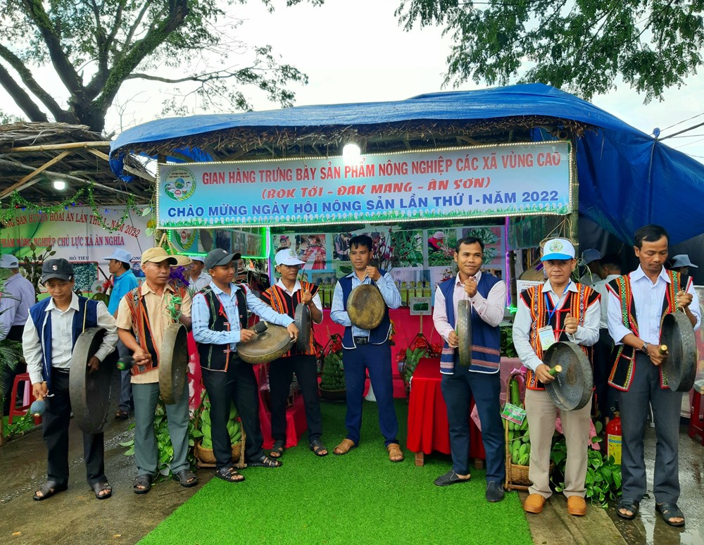 Bình Định: Sắc màu Ngày hội nông sản vùng trung du, miền núi Hoài Ân - ảnh 4