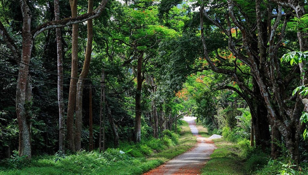 5 thiên đường du lịch, giải trí quanh Hà Nội - ảnh 9