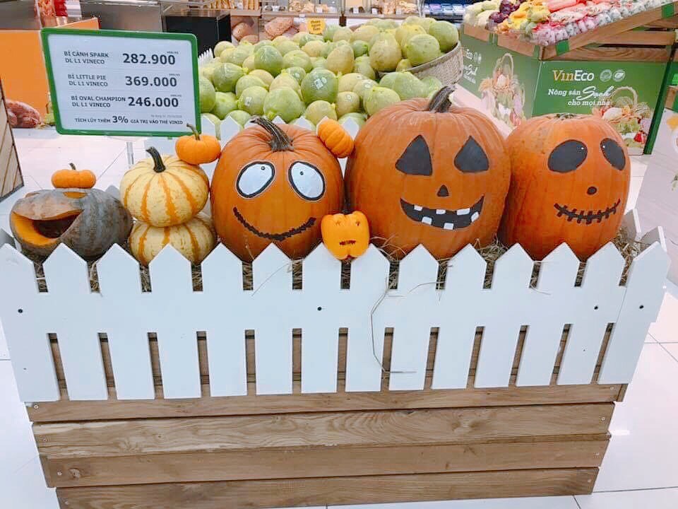 Phát cuồng với bí ngô Halloween khổng lồ lần đầu được trồng ngay tại Việt Nam - ảnh 1