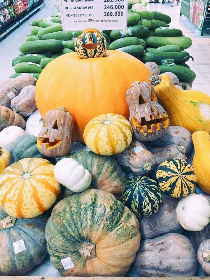 Phát cuồng với bí ngô Halloween khổng lồ lần đầu được trồng ngay tại Việt Nam - ảnh 10