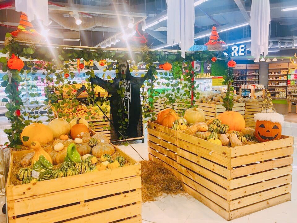 Phát cuồng với bí ngô Halloween khổng lồ lần đầu được trồng ngay tại Việt Nam - ảnh 2