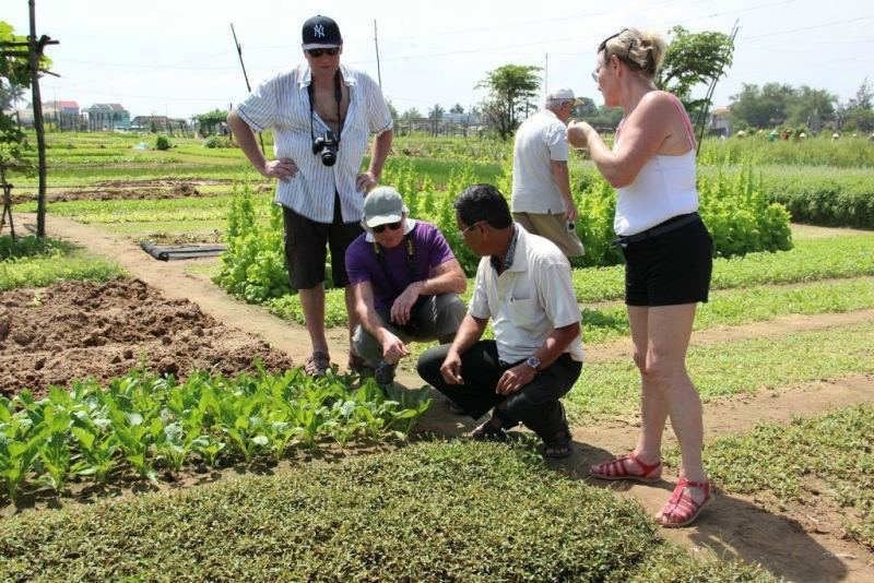Phát triển du lịch nông thôn gắn với xây dựng nông thôn mới - ảnh 1