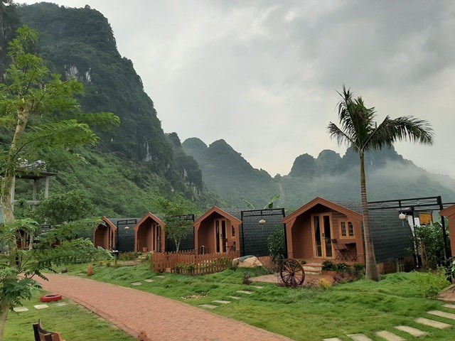 Đưa phố cổ Hội An vào lòng Di sản Phong Nha – Kẻ Bàng - ảnh 4