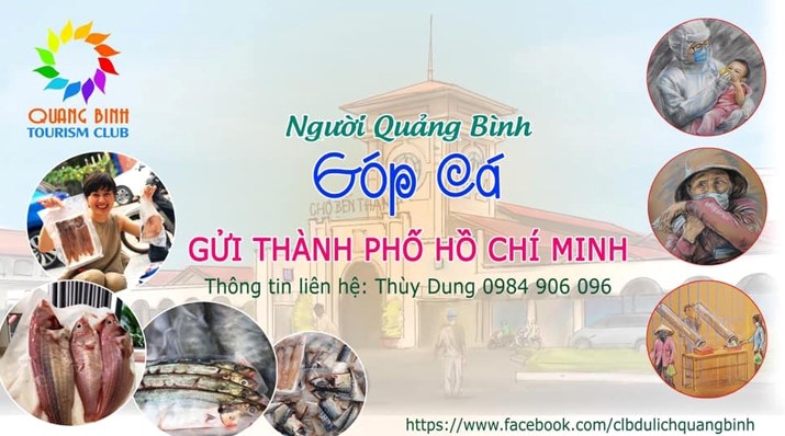 Người Quảng Bình góp cá gửi TP.HCM - ảnh 1