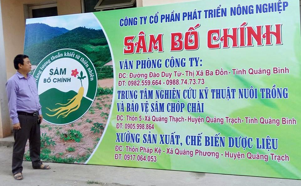 Tìm sâm trên đỉnh Chóp Chài: Đất lành cho sâm tiến vua - ảnh 3
