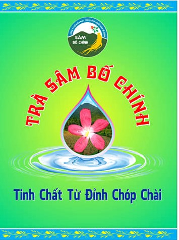 Tìm sâm trên đỉnh Chóp Chài: Đất lành cho sâm tiến vua - ảnh 2