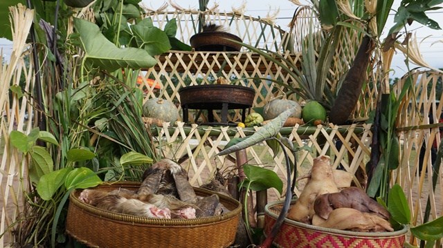 Lập hồ sơ trình Bộ VHTTDL công nhận lễ hội Aza là di sản văn hóa phi vật thể quốc gia - ảnh 3