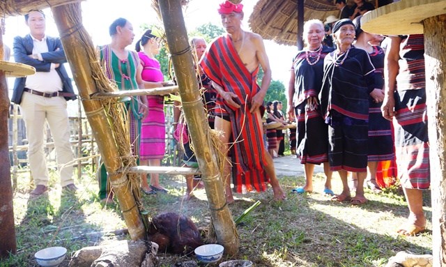 Lập hồ sơ trình Bộ VHTTDL công nhận lễ hội Aza là di sản văn hóa phi vật thể quốc gia - ảnh 9