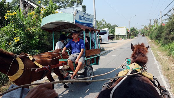 Khách nước ngoài trải nghiệm du lịch sinh thái và văn hóa ở Tiền Giang - ảnh 8