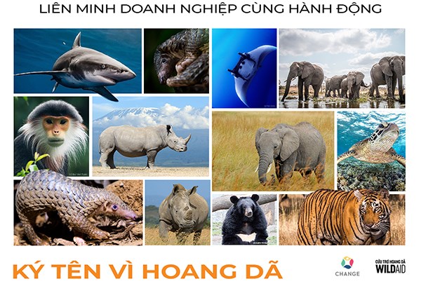 Lãnh đạo doanh nghiệp cam kết vì động vật hoang dã - ảnh 1
