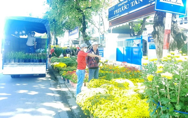 Xuân đã về trên phố biển Nha Trang - ảnh 1