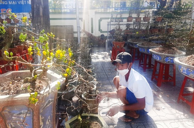 Xuân đã về trên phố biển Nha Trang - ảnh 3