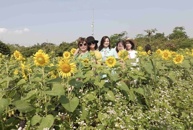 Nam Trung Bộ- Tây Nguyên: Khách du lịch tăng cao dịp Tết - ảnh 3