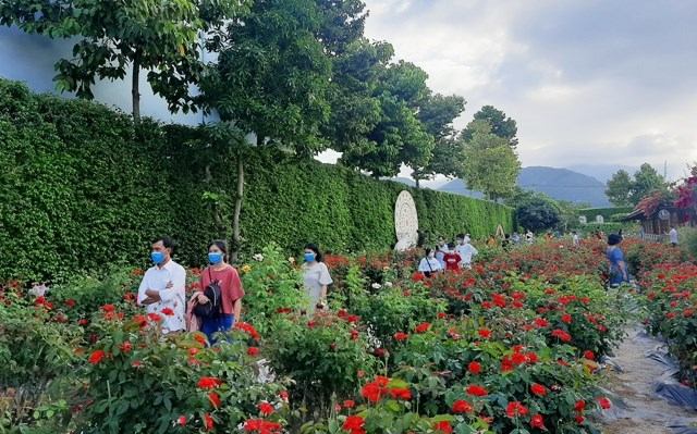 Khánh Hòa đón 65.500 lượt khách lưu trú dịp Tết Nguyên đán - ảnh 1