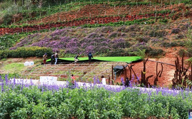 Lâm Đồng: Du Khách nhộn nhịp trở lại Đà Lạt dịp Tết Dương lịch - ảnh 1