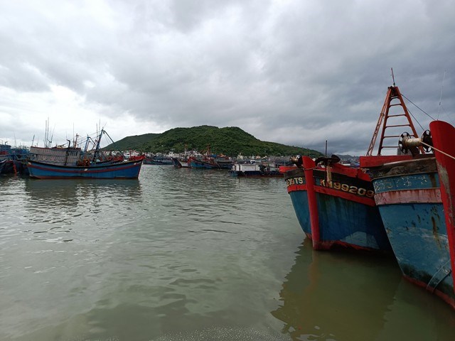 Khánh Hòa: Khẩn trương ứng phó với áp thấp nhiệt đới mạnh lên thành bão số 9 - ảnh 1