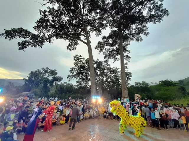 Khánh Hòa: Đã có 26 cây cổ thụ được công nhận là Cây Di sản Việt Nam - ảnh 1