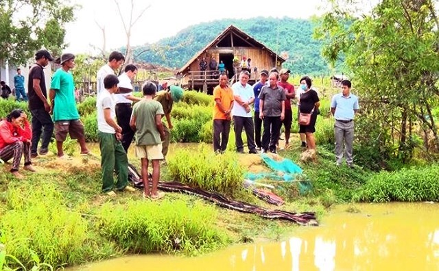 Khánh Hòa: Rủ nhau tắm ao, 4 trẻ em chết đuối - ảnh 1