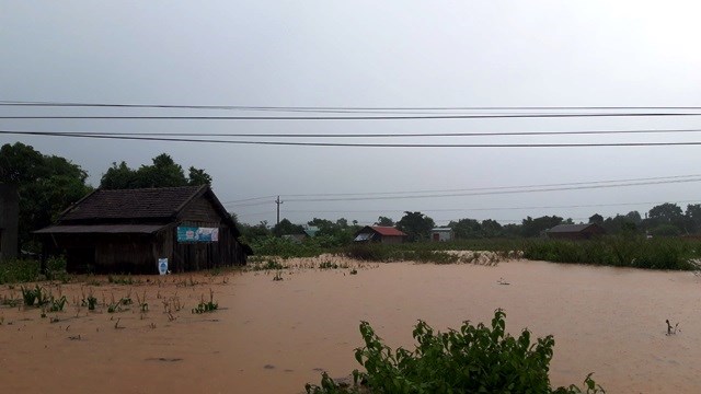 Mưa lớn, nhiều địa phương ở Đắk Lắk và Lâm Đồng ngập nặng - ảnh 1