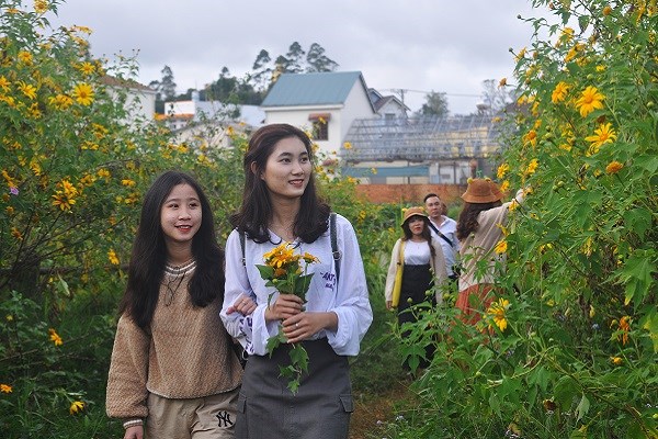 Mê đắm sắc hoa dã quỳ khi Đà Lạt lập Đông - ảnh 1