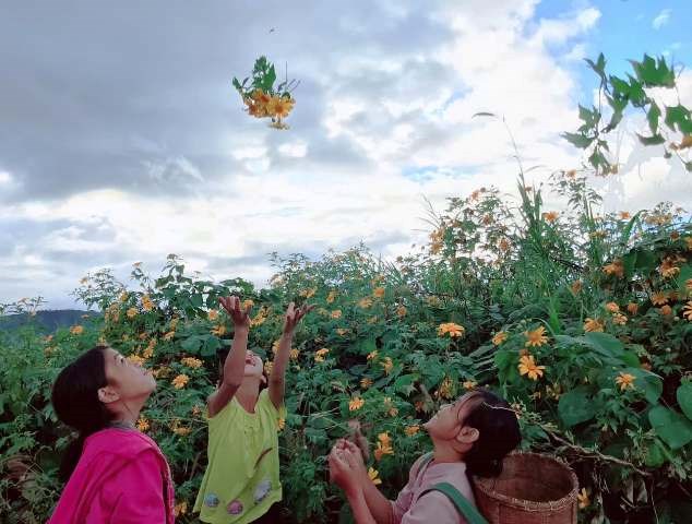 Kon Tum: Độc đáo… mùa hoa dại - ảnh 1